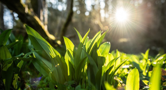 Thumbnail for 6984391