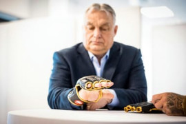 Thumbnail for 6984577