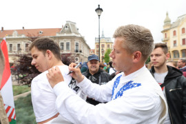 Thumbnail for 6984931