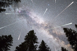 Thumbnail for 6985132