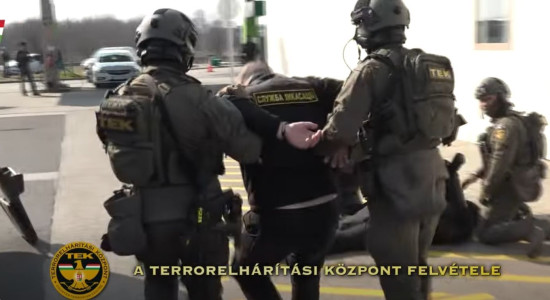 Thumbnail for 6985873