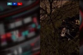 Thumbnail for 6986284