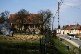 Thumbnail for 6986437