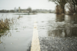 Thumbnail for 6986441