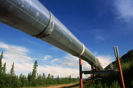 Thumbnail for 6986455