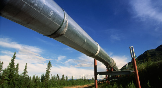 Thumbnail for 6986455