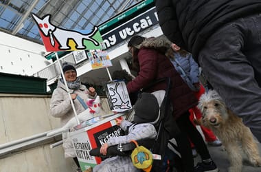 Thumbnail for 6986638