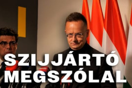 Thumbnail for 6986725