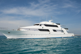 Thumbnail for 6986727