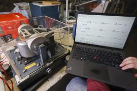 Thumbnail for 6987213