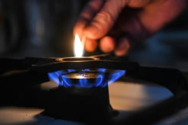 Thumbnail for 6987216