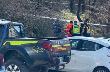 Thumbnail for 6987231