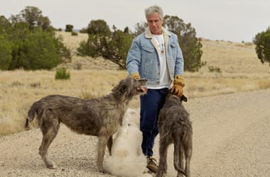 Thumbnail for 6987293