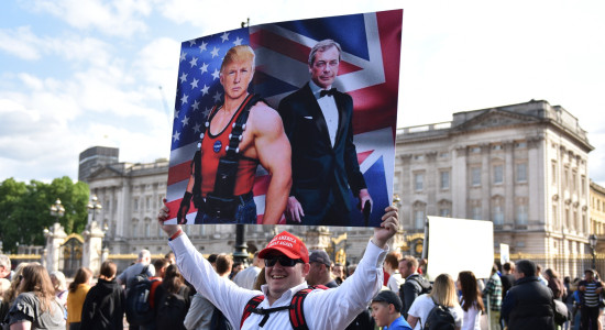 Thumbnail for 6987528