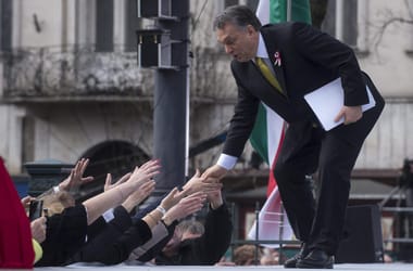 Thumbnail for 6987672