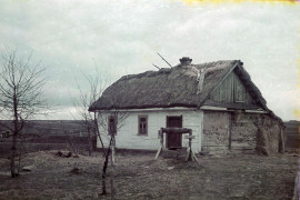 Thumbnail for 6987783