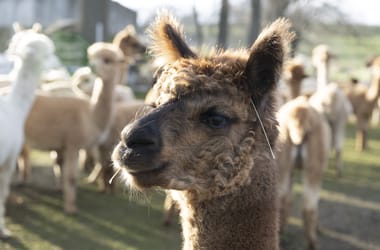 Thumbnail for 6987795