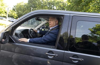 Thumbnail for 6988884