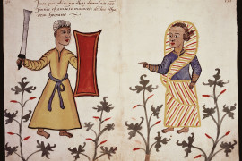 Thumbnail for 6989037