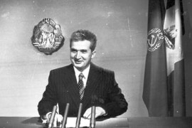 Thumbnail for 6989131