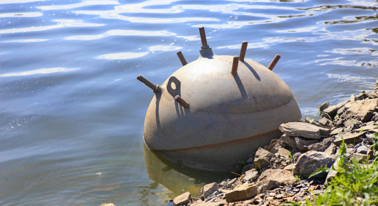 Thumbnail for 6989451