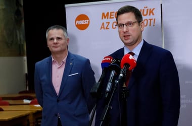 Thumbnail for 6989594