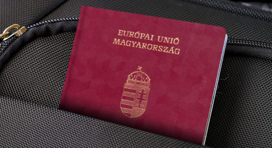 Thumbnail for 6989596