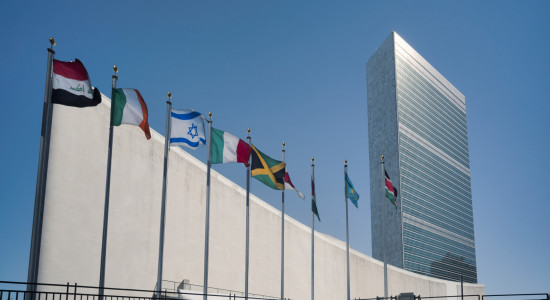 Thumbnail for 6989629