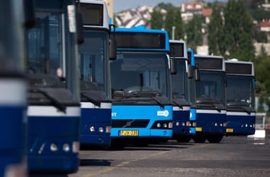 Thumbnail for 6989892