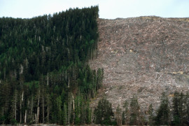 Thumbnail for 6989977