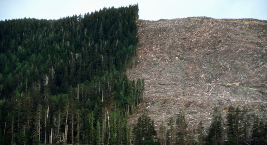 Thumbnail for 6989977