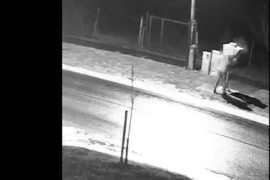 Thumbnail for 6989984