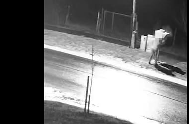 Thumbnail for 6989984