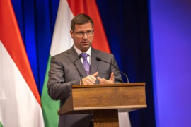 Thumbnail for 6990068