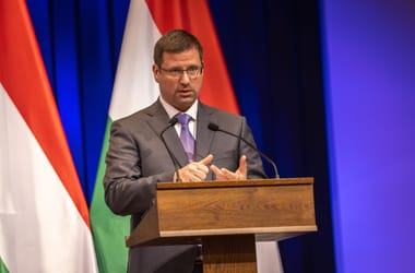 Thumbnail for 6990068