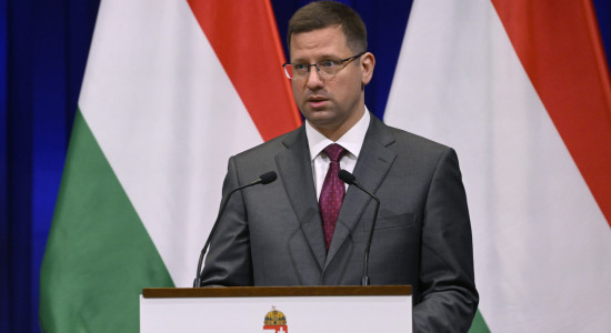 Thumbnail for 6990078