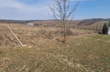 Thumbnail for 6990220