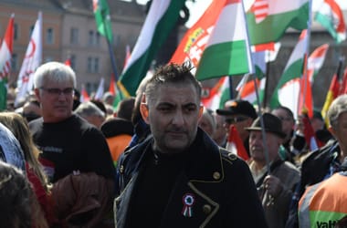 Thumbnail for 6990431