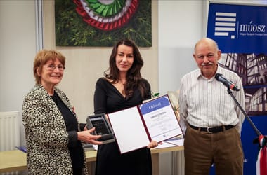 Thumbnail for 6990464