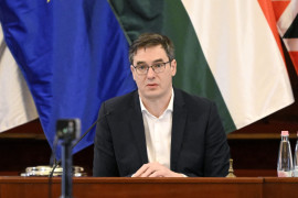 Thumbnail for 6990525