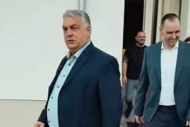 Thumbnail for 6990880