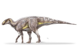 Thumbnail for 6990976