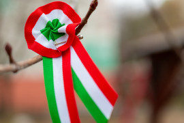 Thumbnail for 6991076