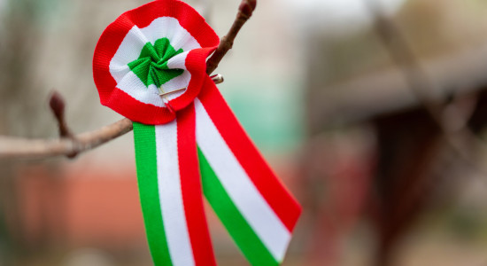 Thumbnail for 6991076