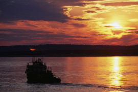 Thumbnail for 6991242