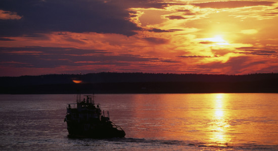 Thumbnail for 6991242