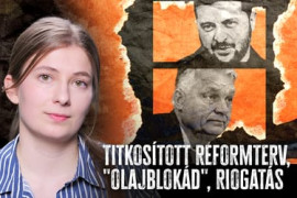 Thumbnail for 6991395