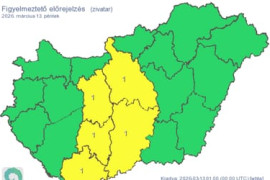 Thumbnail for 6991410