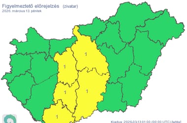 Thumbnail for 6991410