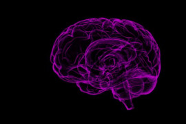 Thumbnail for 6991642